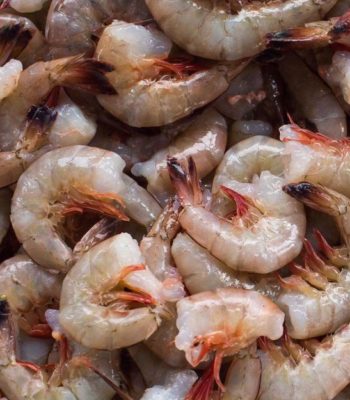 gulf shrimp