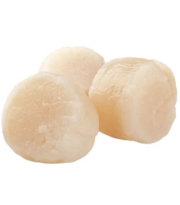 10/20 ct. Dry Sea Scallops