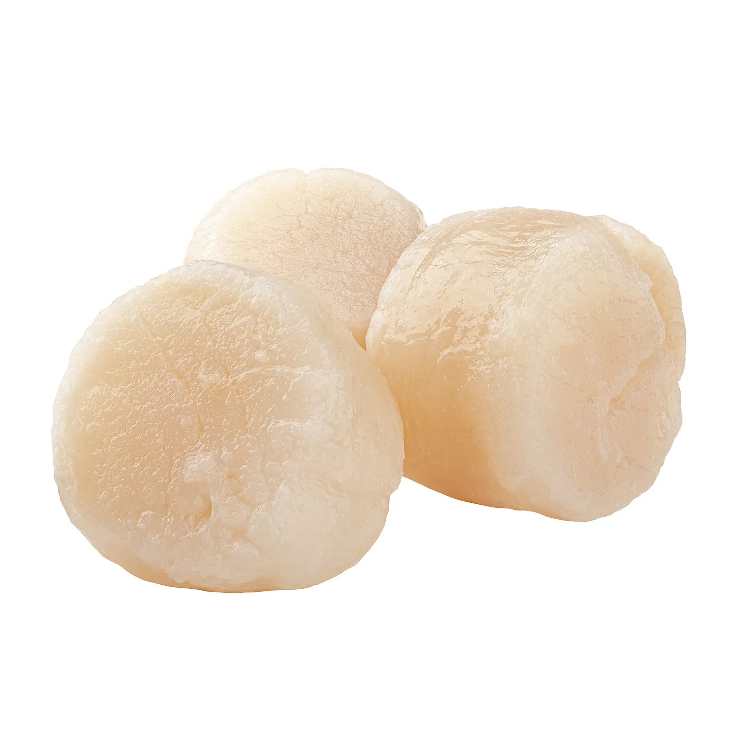 10/20 ct. Dry Sea Scallops