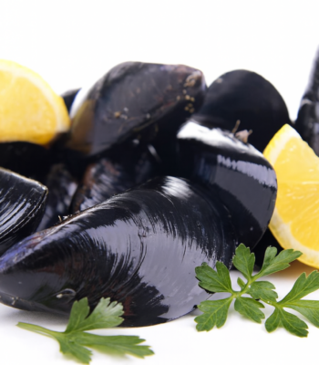 Mussels