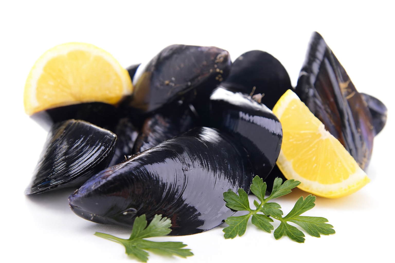 Mussels