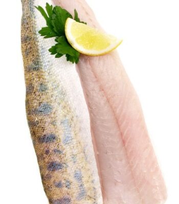 Walleye