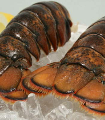 canadian lobster tail