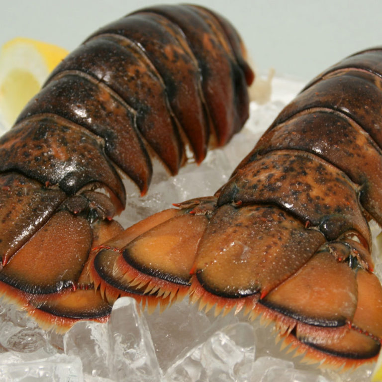10 lb. 8/10 oz. Canadian Lobster Tails Absolutely Fresh Seafood Market