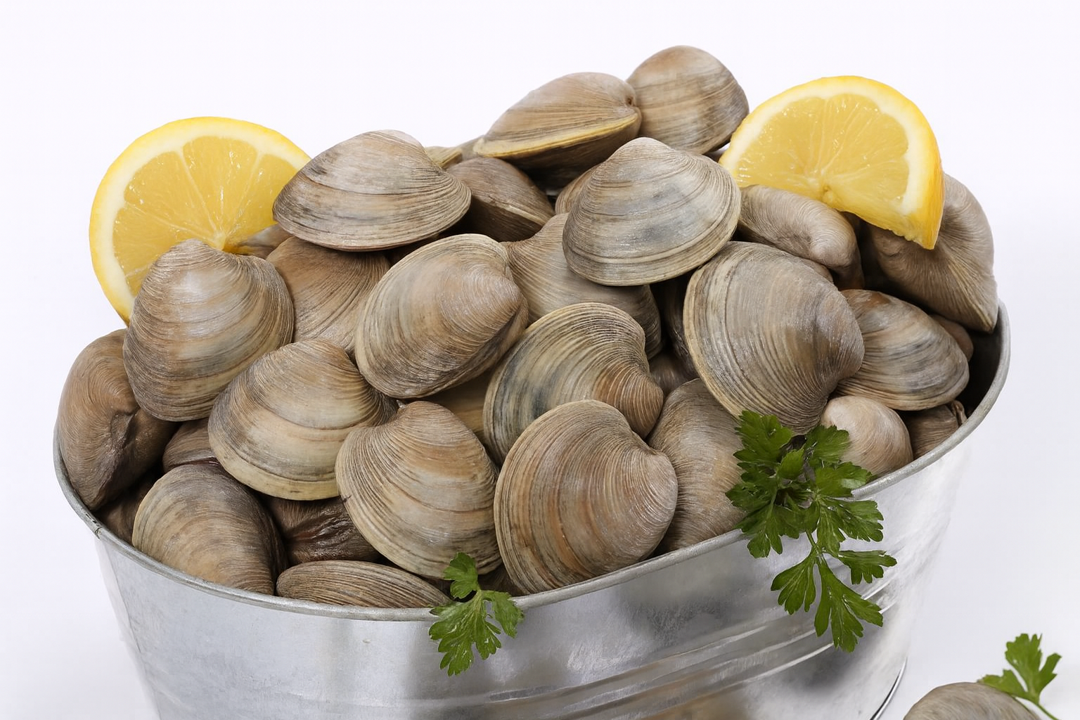 Little Neck Clams