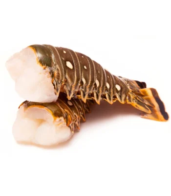Caribbean Warm Water Lobster Tails