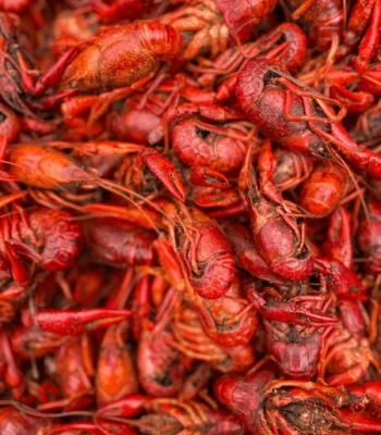 Frozen Whole Cooked Crawfish