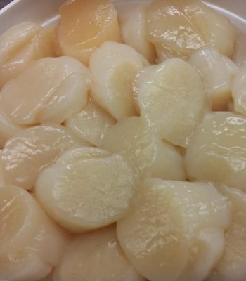 scallops