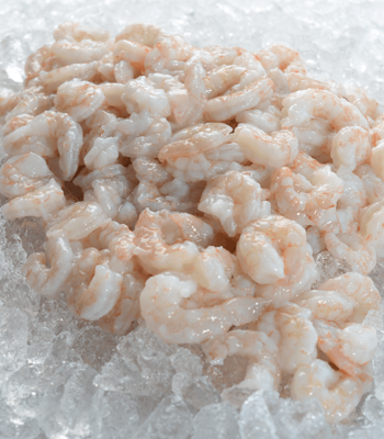 peeled gulf shrimp