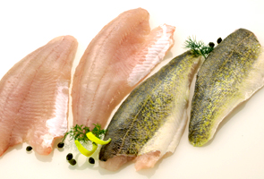 walleye