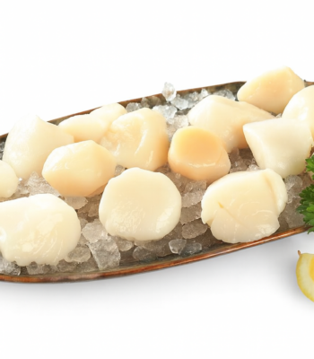 u/10 Dry Sea Scallops