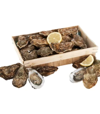 East Point Oysters 100 ct Box