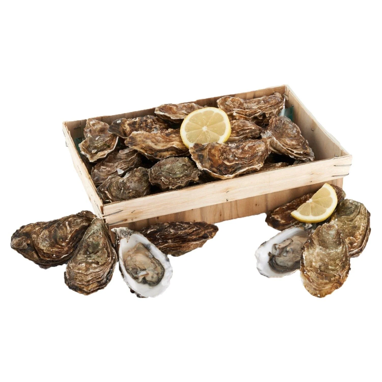 East Point Oysters 100 ct Box