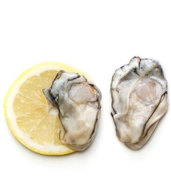 Shucked Oysters