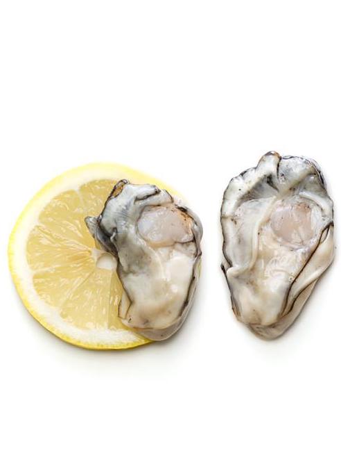Shucked Oysters