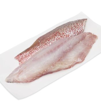 red snapper fillet