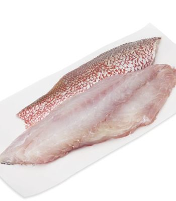 red snapper fillet