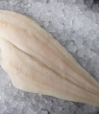 flounder fillet