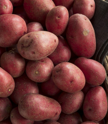 Red Potatoes