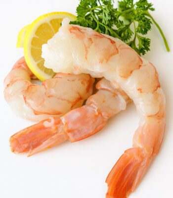 Argentine Red Shrimp