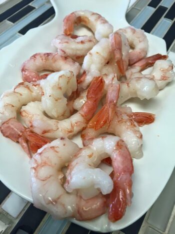 16/20 Argentinian Royal Red Shrimp