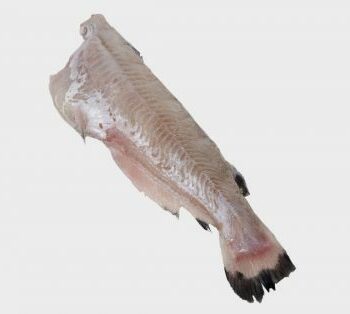Frozen Whole Catfish