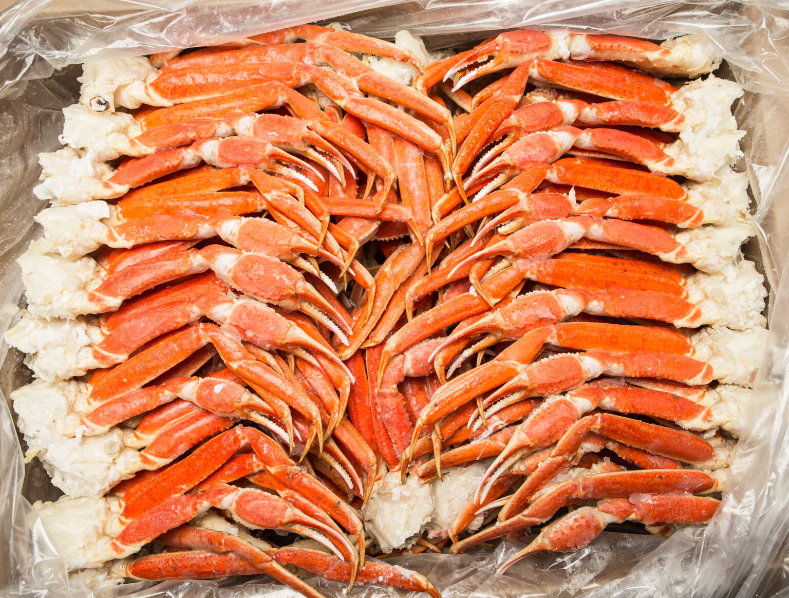 30 lb. 7/9 Snow Crab Leg Clusters Absolutely Fresh Seafood Market