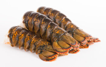 12-14 oz. Maine Lobster Tail