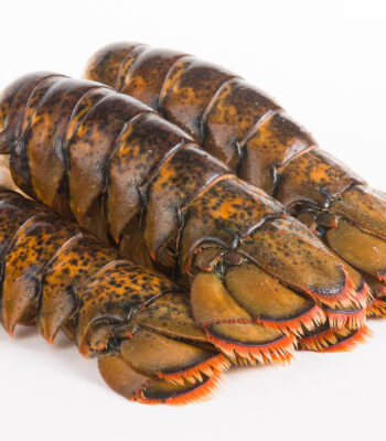 12-14 oz. Maine Lobster Tail